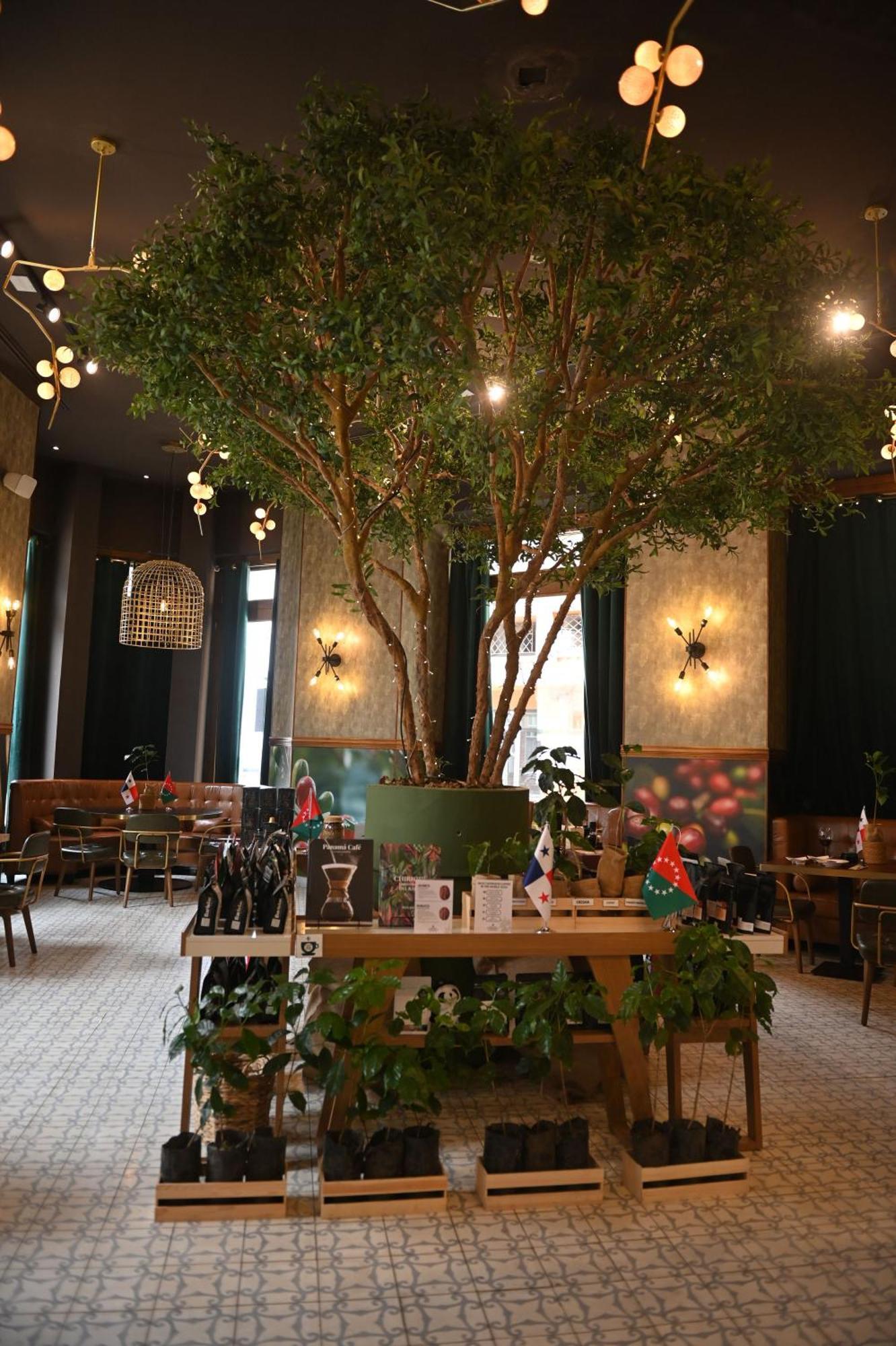 La Concordia - Boutique Hotel Panama City Luaran gambar