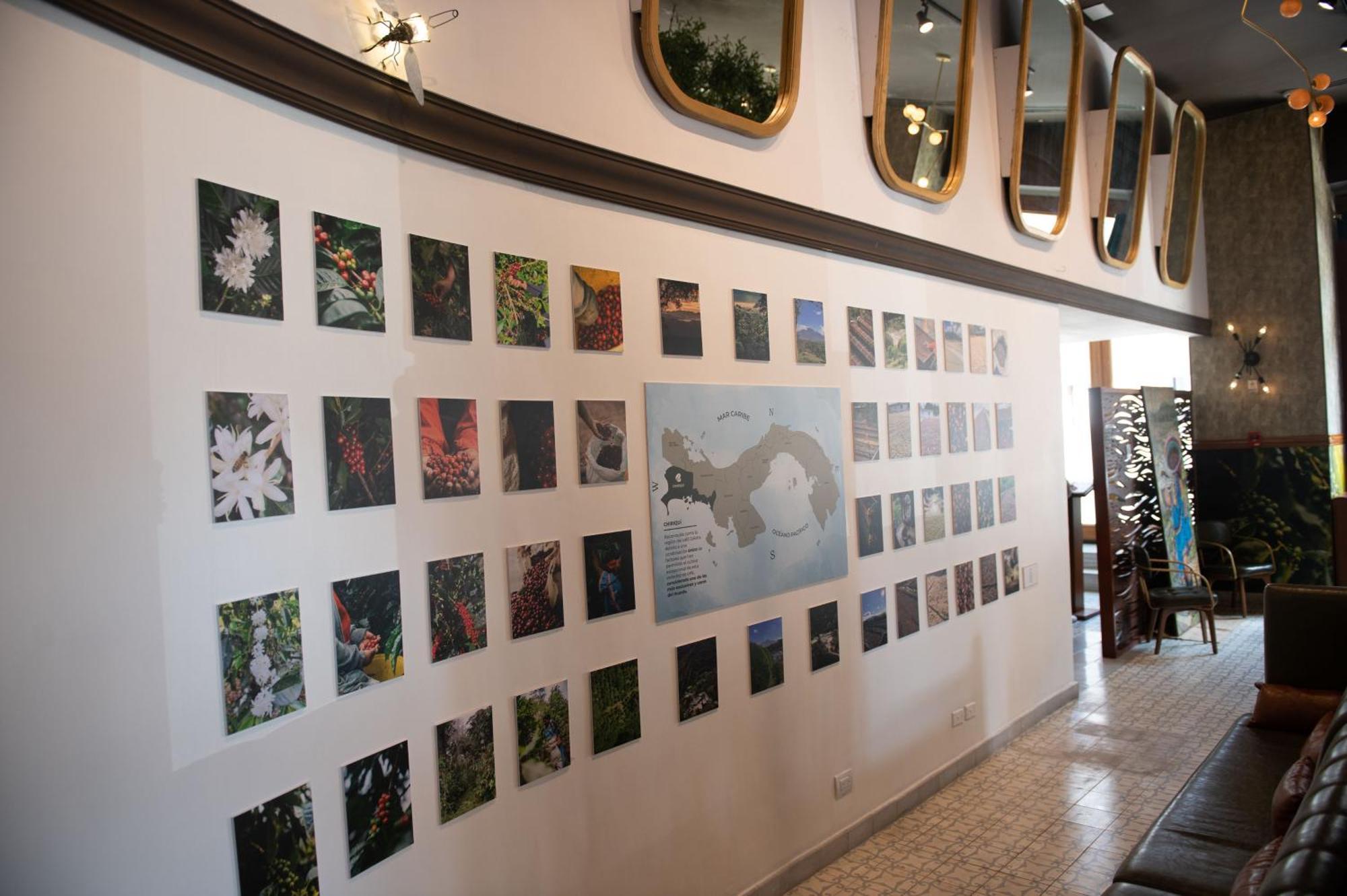 La Concordia - Boutique Hotel Panama City Luaran gambar